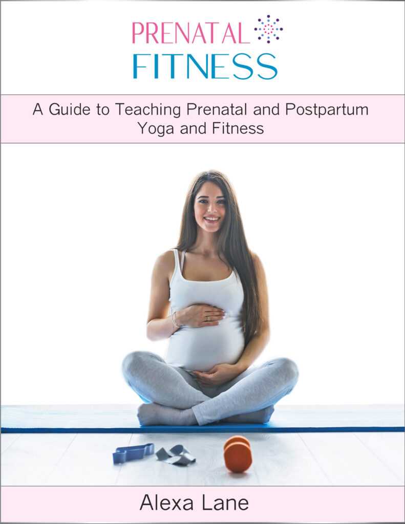 prenatal fitness guide